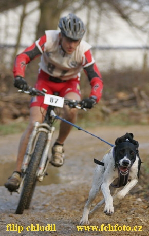 Bakonybel - 0689.JPG